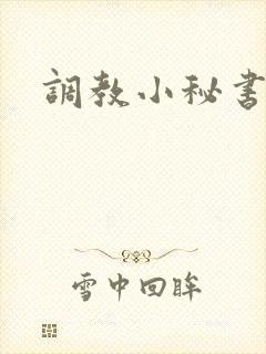 调教小秘书