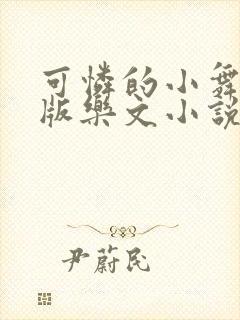 可怜的小舞细写版乐文小说网