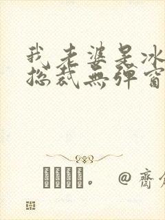 我老婆是冰山女总裁无弹窗免费封面