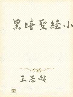 黑暗圣经小说