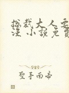 总裁大人要够了没 小说免费阅读封面
