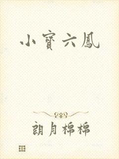 小宝六凤