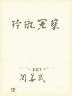 玲珑冤孽封面