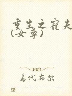 重生之宠夫无度(女尊)