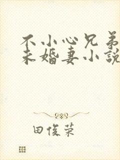 不小心兄弟女神未婚妻小说