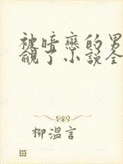 被暗恋的男神觊觎了小说全文阅读