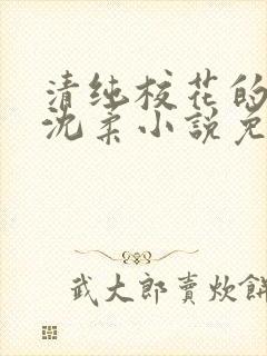 清纯校花的日常沈柔小说免费阅读