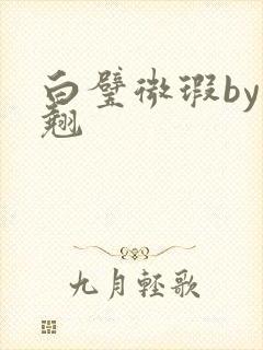 白璧微瑕by连翘封面