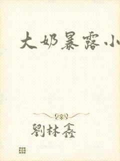 大奶暴露小说