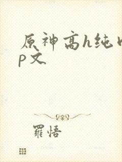 原神高h纯肉np文