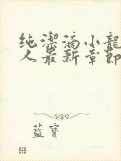 纯洁滴小龙捞尸人最新章节更新封面