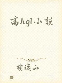 高hgl小说封面