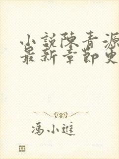 小说陈青源全文最新章节更新