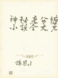 神秘老公缠上我小说全文免费阅读
