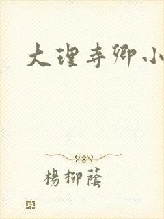 大理寺卿小说