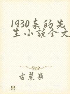 1930来的先生小说全文免费阅读