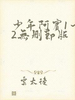 少年阿宾1～72无删节版封面