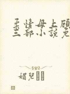 柔情母上顾为第三部小说免费阅读