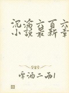 沉沦六百六十六小说最新章节更新
