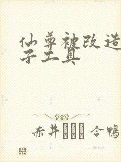仙尊被改造成产子工具封面