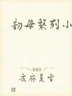 韵母系列小说