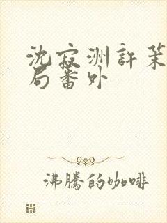 沈寂洲许茉大结局番外封面