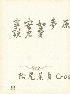 宁安如梦原著小说免费