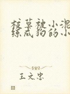 校草被小混混训练成狗的小说