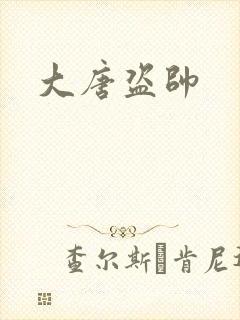 大唐盗帅