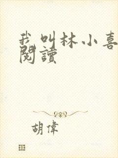 我叫林小喜全文阅读