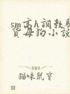 sm高h调教骚货母狗小说