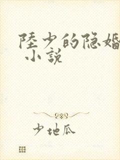 陆少的隐婚罪妻 小说