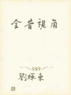金昔视角封面