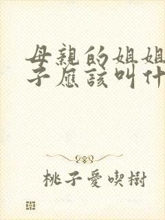 母亲的姐姐的儿子应该叫什么