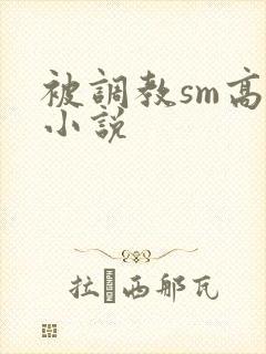 被调教sm高h小说