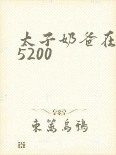 太子奶爸在花都5200
