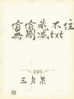 偷偷藏不住全文无删减txt