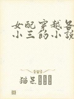 女配穿越各个做小三的小说封面