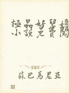 极品好儿媳老秦小说免费阅读全文最新章节