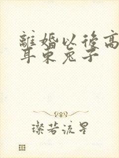 离婚以后高干 耳东兔子封面