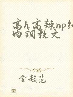 高h高辣np纯肉调教文