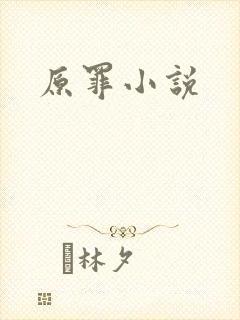 原罪小说