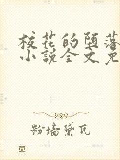 校花的堕落日记小说全文免费阅读