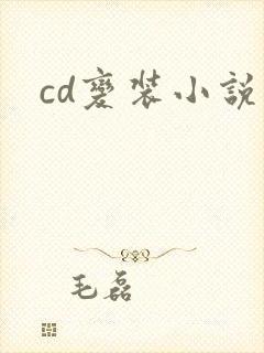 cd变装小说