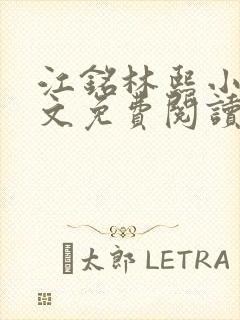 江铭林熙小说全文免费阅读