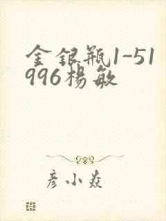 金银瓶1-51996杨敏封面
