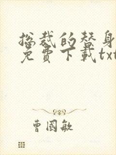 总裁的替身前妻免费下载txt封面