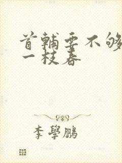 首辅要不够po一枝春