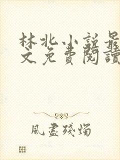 林北小说最新全文免费阅读封面