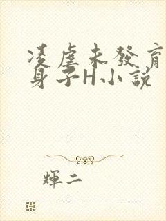 凌虐未发育的小身子H小说